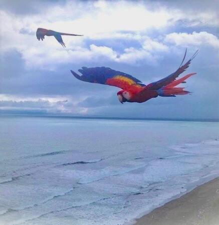 Coloso Del Mar Zancudo Luaran gambar