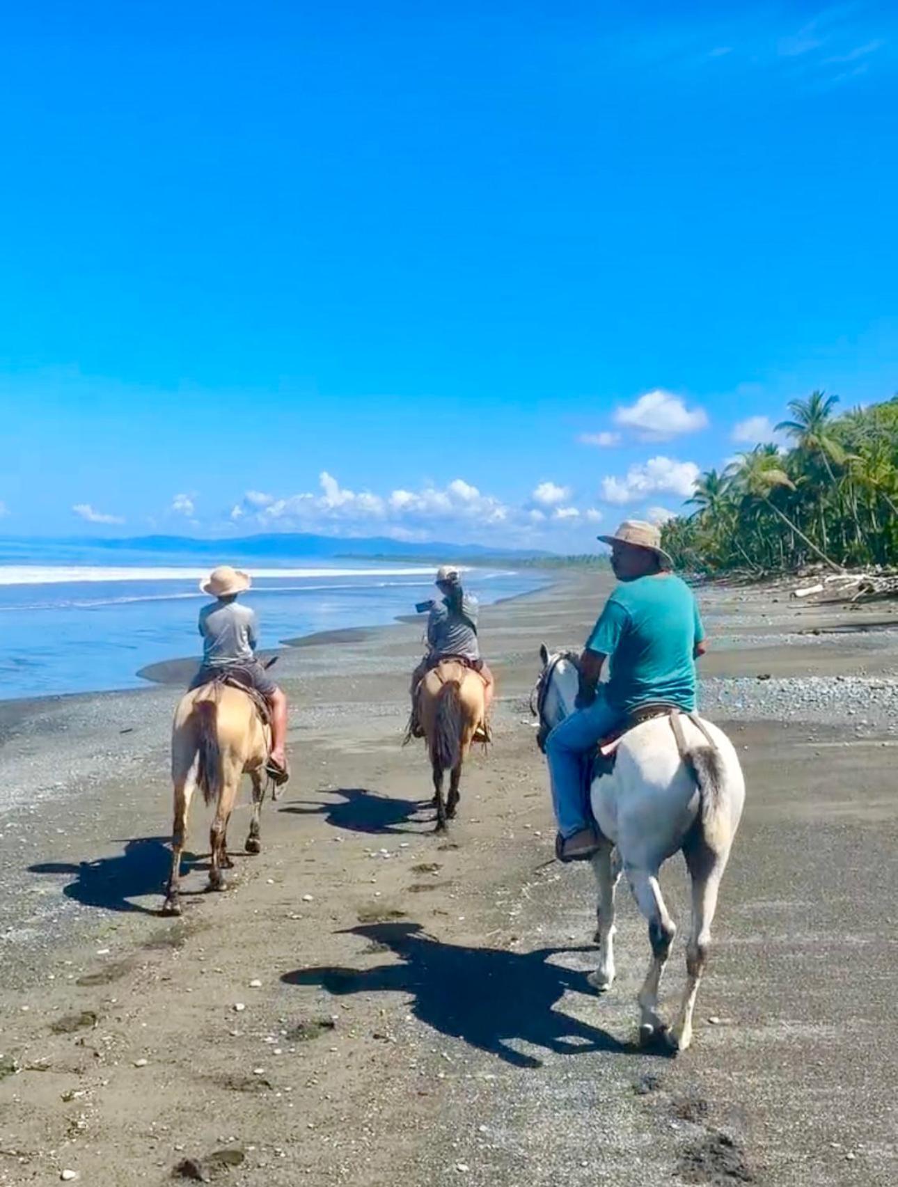 Coloso Del Mar Zancudo Luaran gambar