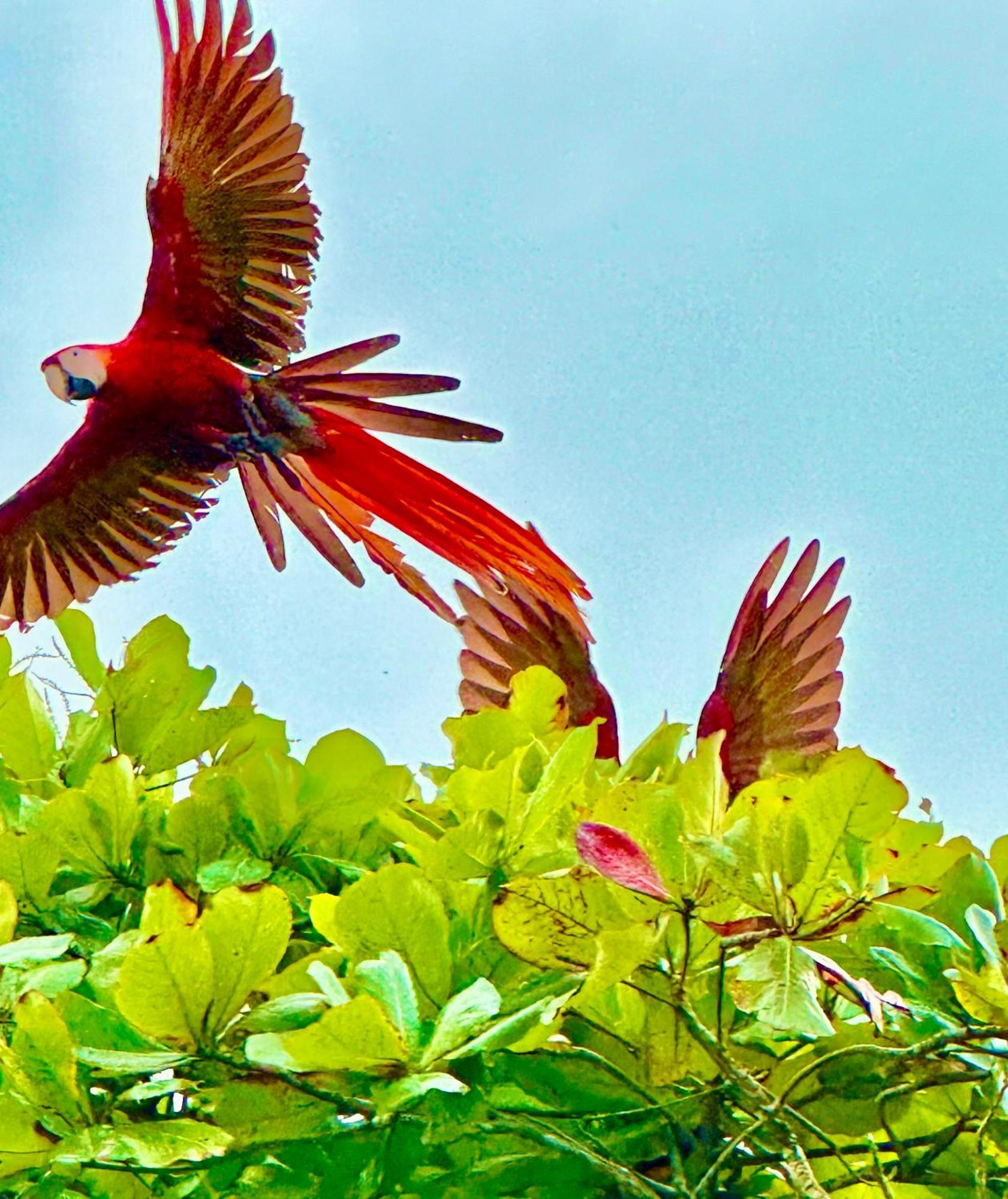 Coloso Del Mar Zancudo Luaran gambar